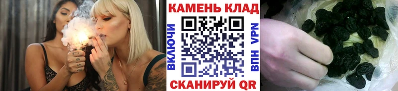 kraken как зайти  где найти наркотики  Кировск  Гашиш индика сатива 