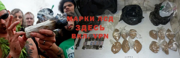 дурь Богданович