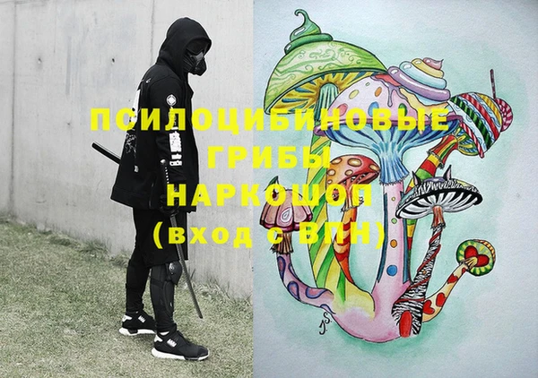 дурь Богданович