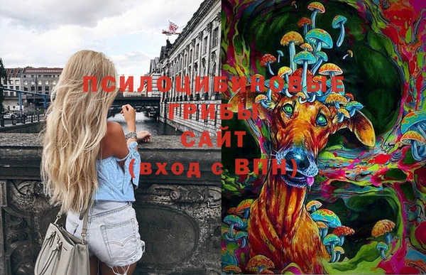 2c-b Богородицк
