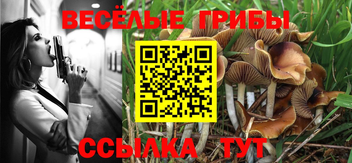 Псилоцибиновые грибы MAGIC MUSHROOMS Кировск