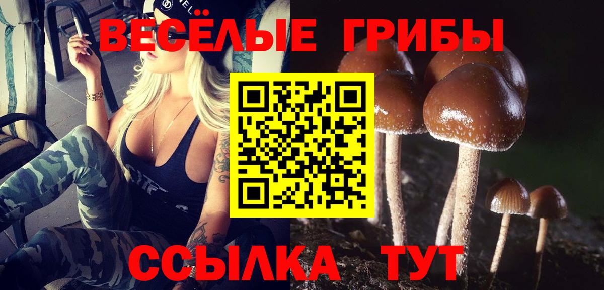 Псилоцибиновые грибы Psilocybine cubensis  Вход с VPN  Кировск 
